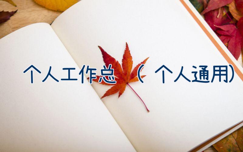 个人工作总结(个人通用)