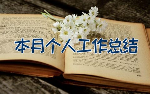 本月个人工作总结（23篇）