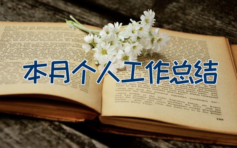 本月个人工作总结