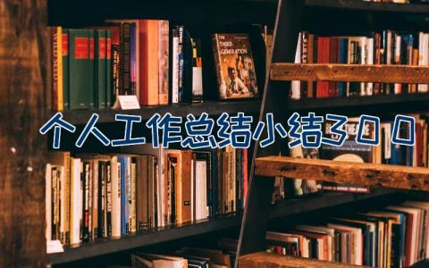 个人工作总结小结300字