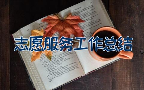 志愿服务工作总结