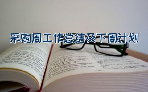 采购周工作总结及下周计划