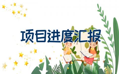 项目进度汇报