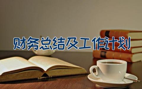 财务总结及工作计划