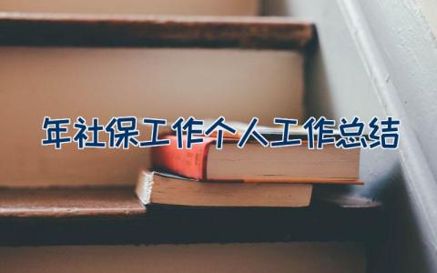 2023年社保工作个人工作总结