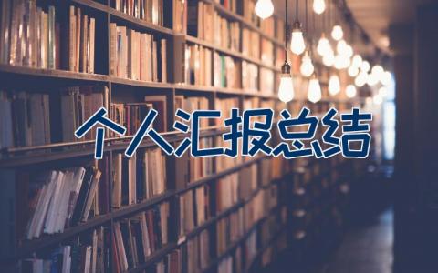 个人汇报总结