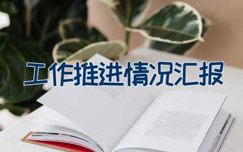工作推进情况汇报