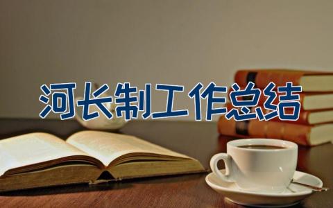 河长制工作总结