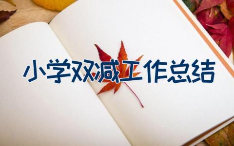 小学双减工作总结