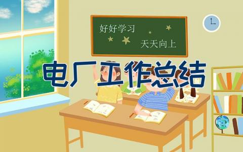 电厂工作总结