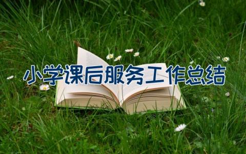 小学课后服务工作总结