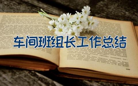 车间班组长工作总结