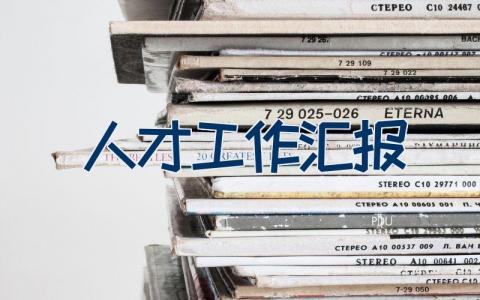 人才工作汇报