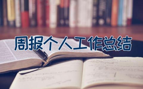 周报个人工作总结