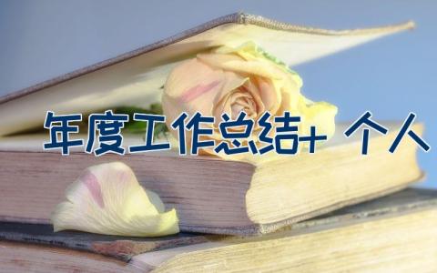 年度工作总结 个人