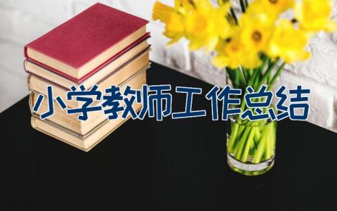 小学教师工作总结