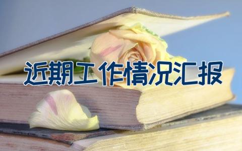 近期工作情况汇报