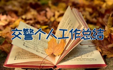交警个人工作总结