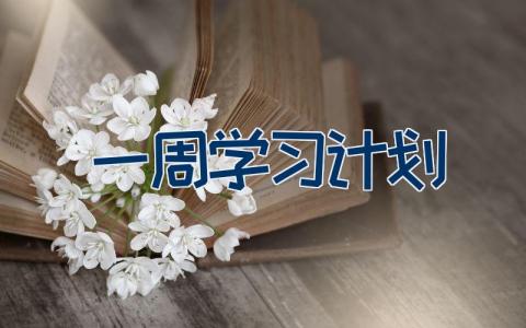 一周学习计划