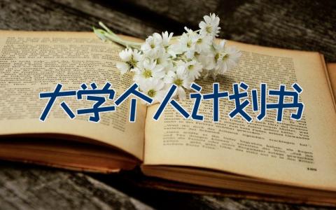 大学个人计划书