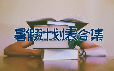 暑假计划表合集