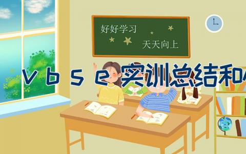 vbse实训总结和心得