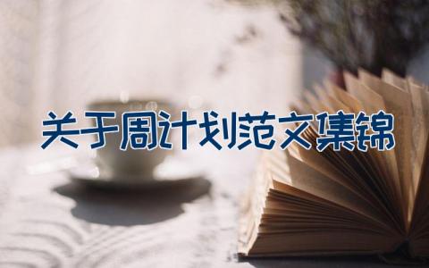 关于周计划范文集锦