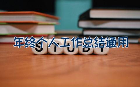 年终个人工作总结通用