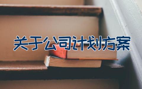 关于公司计划方案