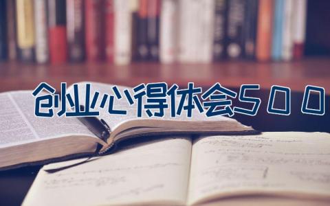 创业心得体会500字