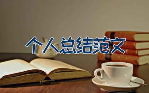 个人总结范文