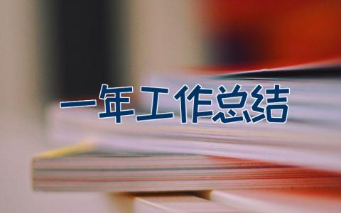一年工作总结