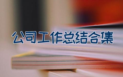 公司工作总结合集 公司部门年度工作总结16篇