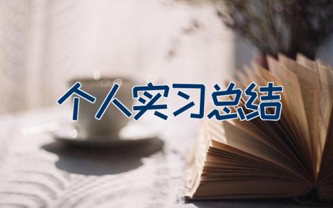 个人实习总结范文 个人实习总结20篇