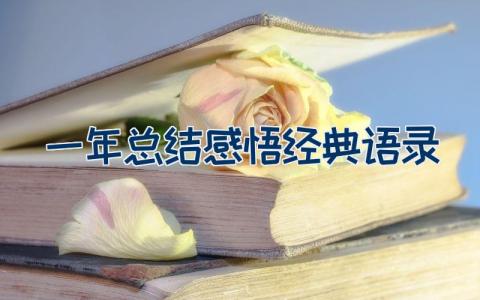 一年总结感悟经典语录
