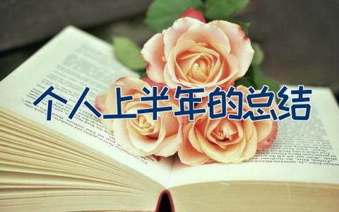 个人上半年的总结