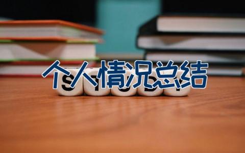 个人情况总结