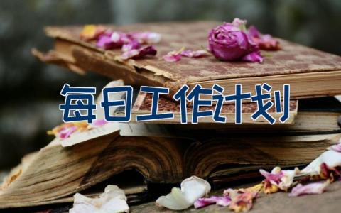 每日工作计划