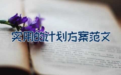 实用的计划方案范文15篇大全