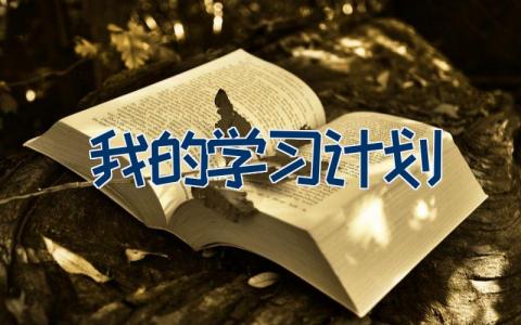 我的学习计划