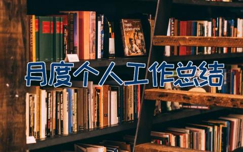 月度个人工作总结