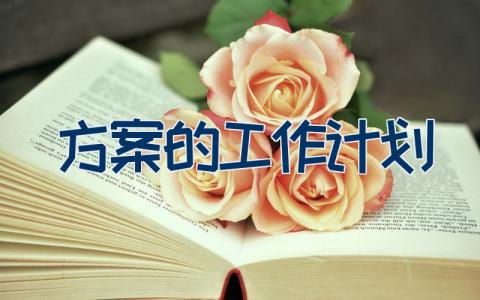 方案的工作计划