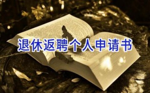 退休返聘个人申请书