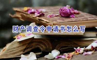 财产调查令申请书怎么写