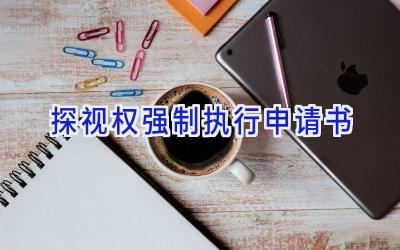 探视权强制执行申请书