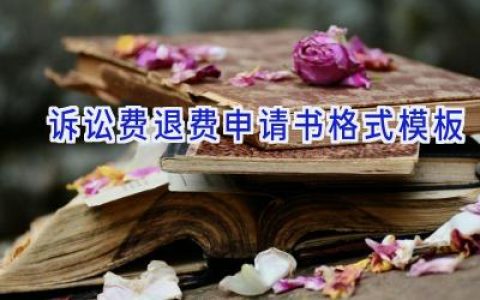 诉讼费退费申请书格式模板