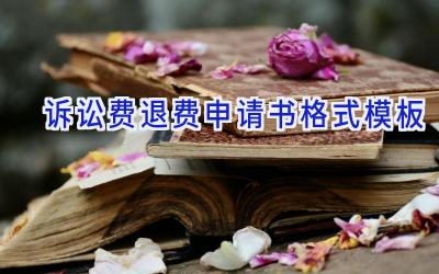 诉讼费退费申请书格式模板
