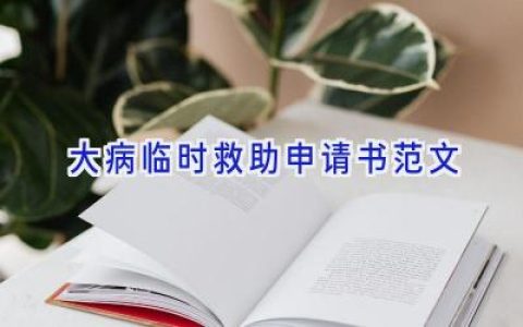 大病临时救助申请书范文