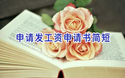 申请发工资申请书简短