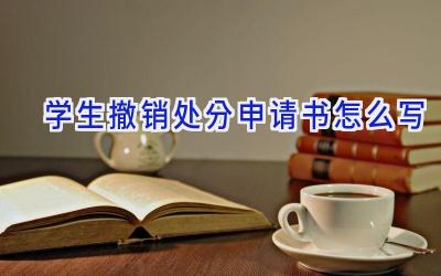 学生撤销处分申请书怎么写